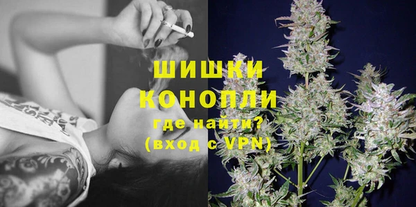 прущие грибы Волоколамск