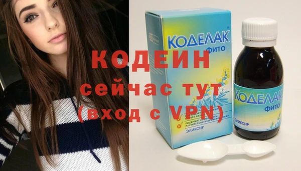 прущие грибы Волоколамск