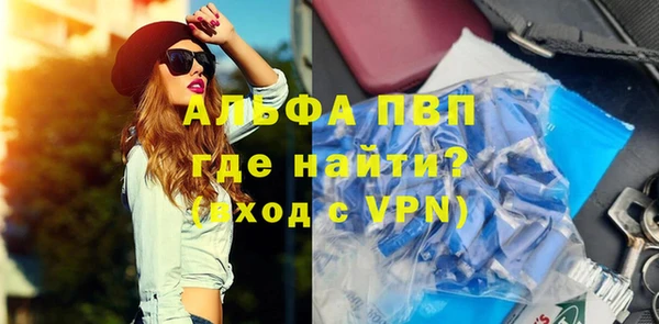 прущие грибы Волоколамск