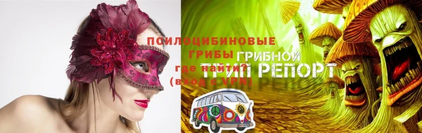 прущие грибы Волоколамск