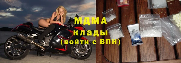 прущие грибы Волоколамск