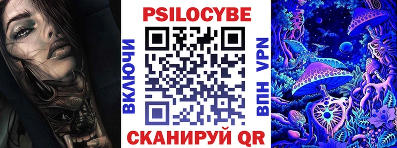 darknet как зайти  Кизел  Галлюциногенные грибы Magic Shrooms 
